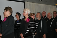 Uitvoering 2014 Gemini (21).jpg